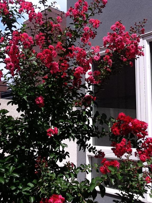 South Bridge Bed And Breakfast Filadelfia Exterior foto